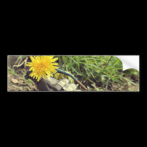Where Have All The Flowers Gone? bumper stickers