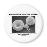 Where Have I Seen This Before? Blood Cells Magnets