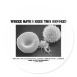 Where Have I Seen This Before? Blood Cells Stickers