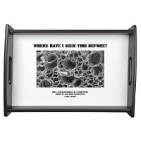 Where Have I Seen This Before? Vascular Bundle Service Trays