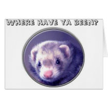 Where Have ya Been Silly Ferret? cards