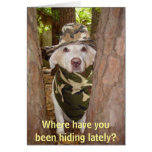 Where have you been hiding lately? cards