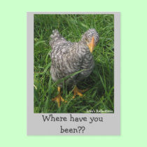 Where have you been?? Post card postcards