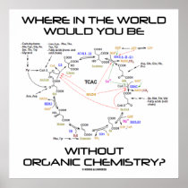 Where In The World You Without Organic Chemistry? Poster