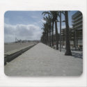 Where is everybody? (2) mousepads