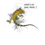 Where is my Iguana?