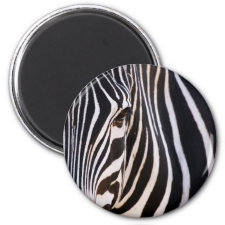 Where Is The Zebra? Fridge Magnet