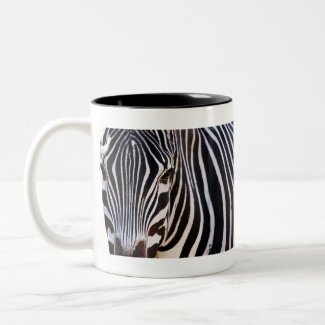 Where Is The Zebra? mug