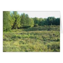 Where is Waldo, can you spot the moose? cards