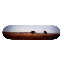 where the buffalo roam skateboards
