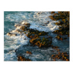 Where the Ocean Meets the Rocks Postcard