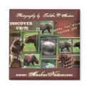 Where the Wild Things Are Magnet magnet