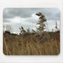 Where the wild things grow mousepads