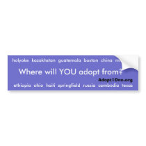 Where will YOU adopt from? bumper stickers