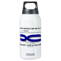 Where Would We Be In Life Without Life's End Caps? 10 Oz Insulated SIGG Thermos Water Bottle