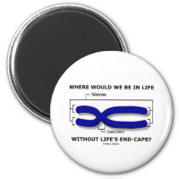 Where Would We Be In Life Without Life's End Caps? 2 Inch Round Magnet