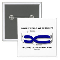 Where Would We Be In Life Without Life's End Caps? 2 Inch Square Button