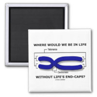 Where Would We Be In Life Without Life's End Caps? 2 Inch Square Magnet