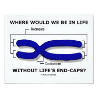 Where Would We Be In Life Without Life's End Caps? 4.25x5.5 Paper Invitation Card