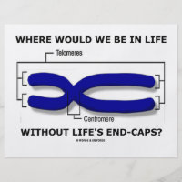 Where Would We Be In Life Without Life's End Caps? 8.5