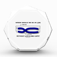 Where Would We Be In Life Without Life's End Caps? Awards