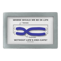 Where Would We Be In Life Without Life's End Caps? Belt Buckle