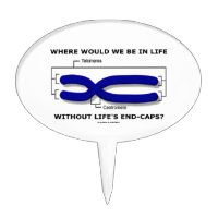 Where Would We Be In Life Without Life's End Caps? Cake Picks