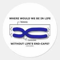 Where Would We Be In Life Without Life's End Caps? Classic Round Sticker