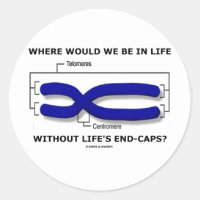 Where Would We Be In Life Without Life's End Caps? Classic Round Sticker