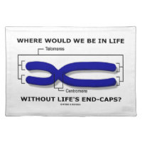 Where Would We Be In Life Without Life's End Caps? Cloth Placemat