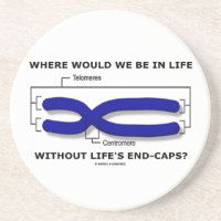 Where Would We Be In Life Without Life's End Caps? Coasters