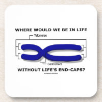 Where Would We Be In Life Without Life's End Caps? Coasters