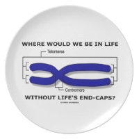Where Would We Be In Life Without Life's End Caps? Dinner Plate