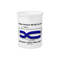 Where Would We Be In Life Without Life's End Caps? Drink Pitcher