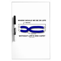 Where Would We Be In Life Without Life's End Caps? Dry-Erase Whiteboards