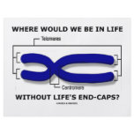 Where Would We Be In Life Without Life's End Caps? flyers