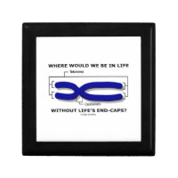 Where Would We Be In Life Without Life's End Caps? Gift Boxes