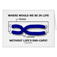 Where Would We Be In Life Without Life's End Caps? Greeting Card