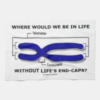 Where Would We Be In Life Without Life's End Caps? Hand Towels