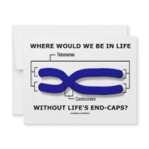Where Would We Be In Life Without Life's End Caps? invitations