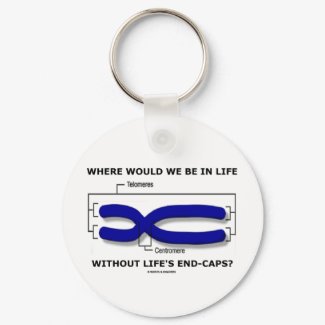 Where Would We Be In Life Without Life's End Caps? keychain