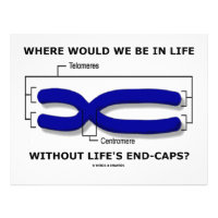 Where Would We Be In Life Without Life's End Caps? Letterhead