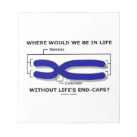 Where Would We Be In Life Without Life's End Caps? Memo Note Pad