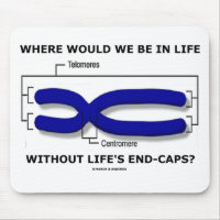 Where Would We Be In Life Without Life's End Caps? Mouse Pad