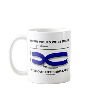 Where Would We Be In Life Without Life's End Caps? mug