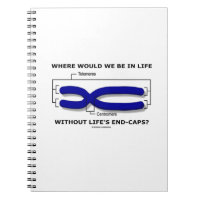 Where Would We Be In Life Without Life's End Caps? Note Book