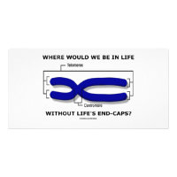 Where Would We Be In Life Without Life's End Caps? Photo Card