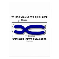 Where Would We Be In Life Without Life's End Caps? Postcard