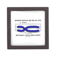 Where Would We Be In Life Without Life's End Caps? Premium Keepsake Boxes