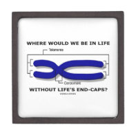 Where Would We Be In Life Without Life's End Caps? Premium Trinket Box